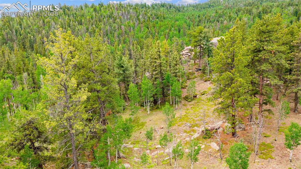 Image 17 of 32: Other