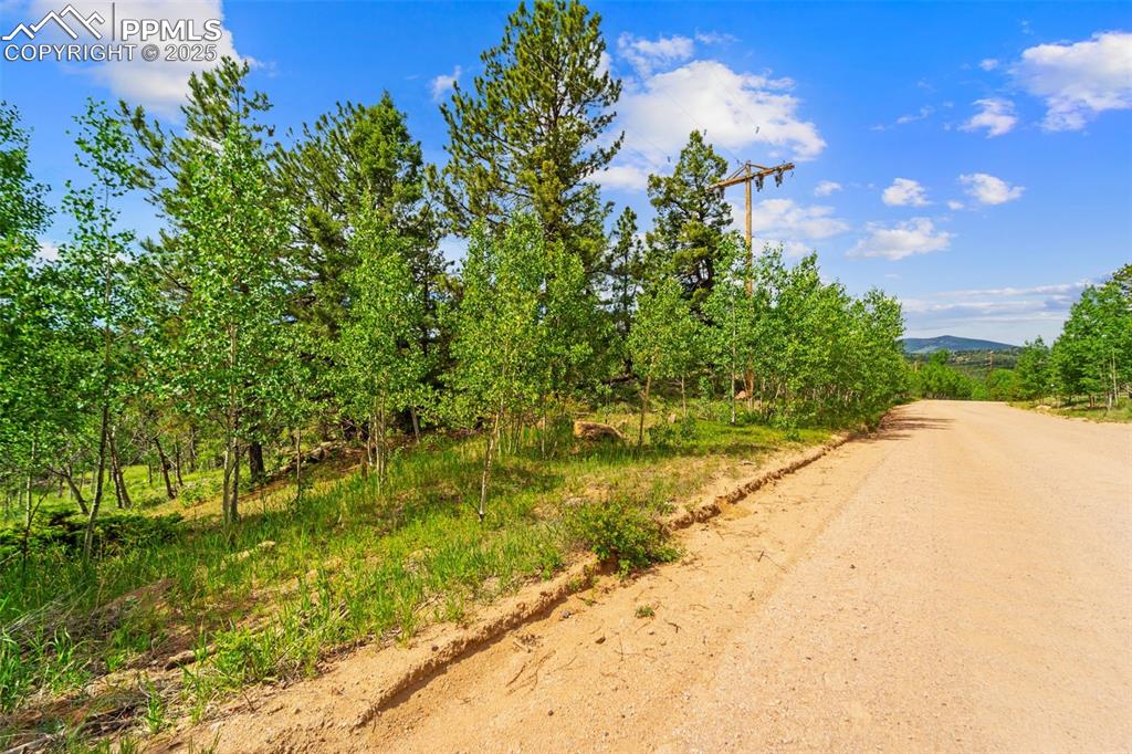 Image 21 of 32: Community