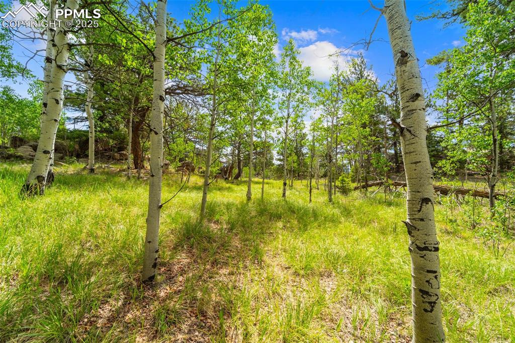 Image 23 of 32: Other