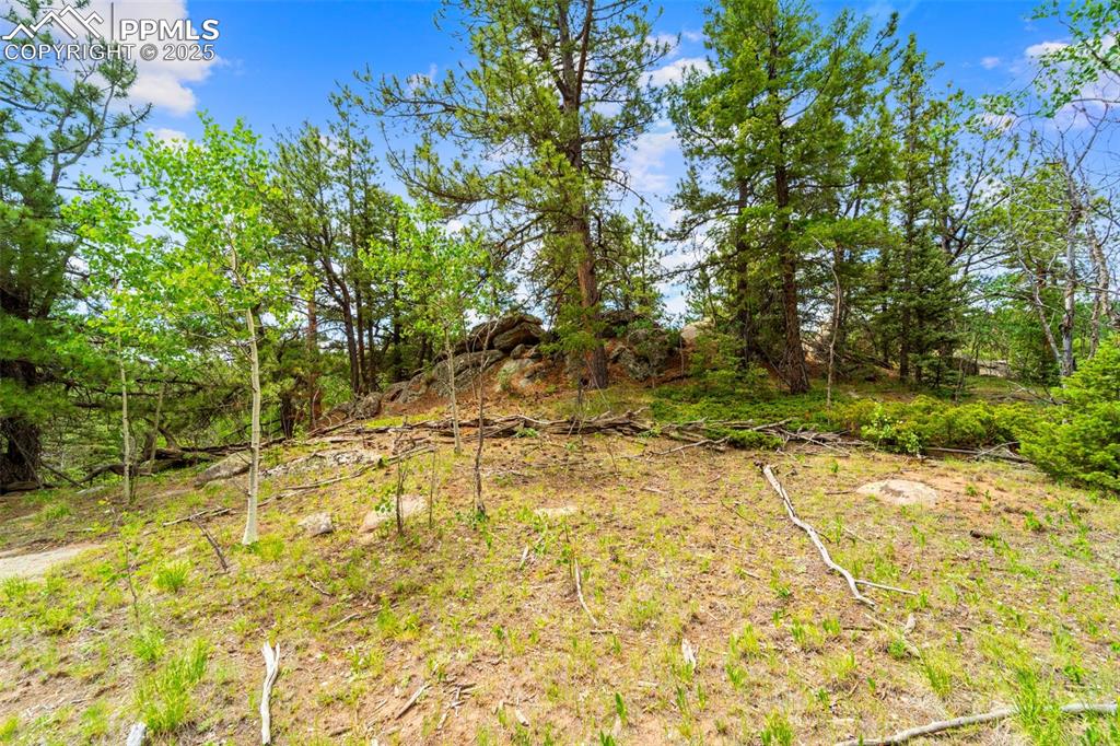 Image 24 of 32: Other