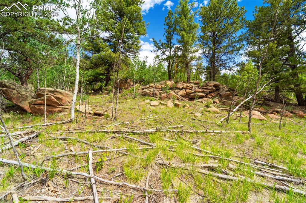 Image 25 of 32: Other