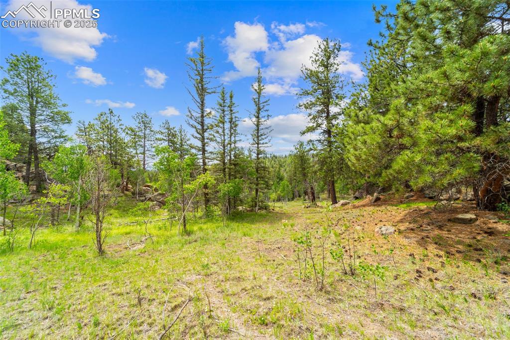 Image 26 of 32: Other