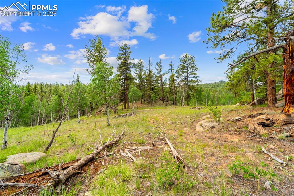 Image 27 of 32: Other