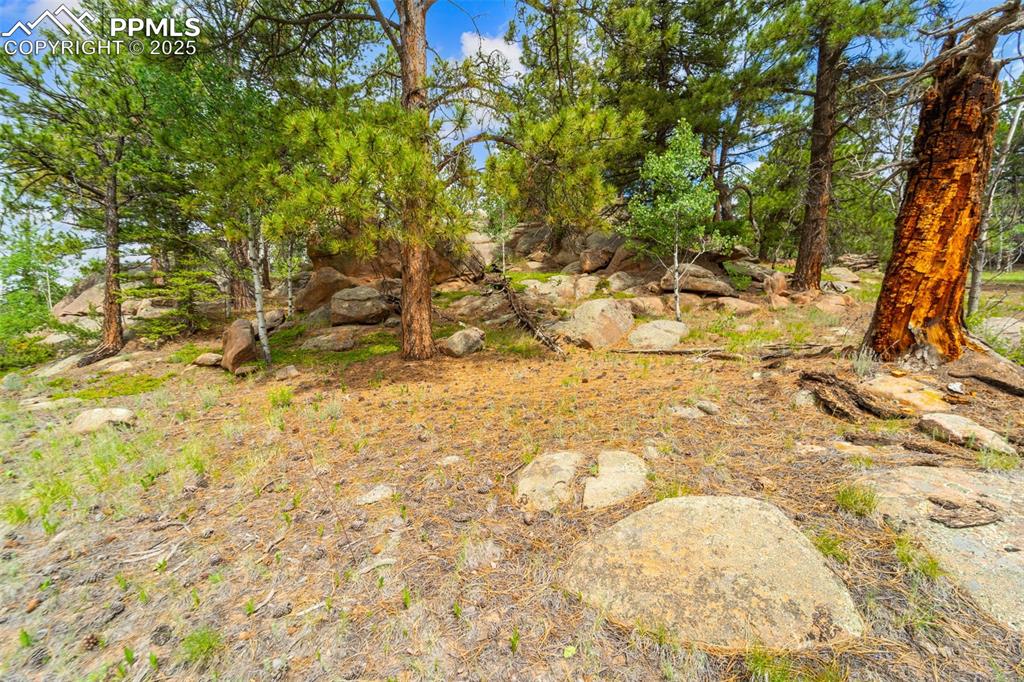 Image 28 of 32: Other