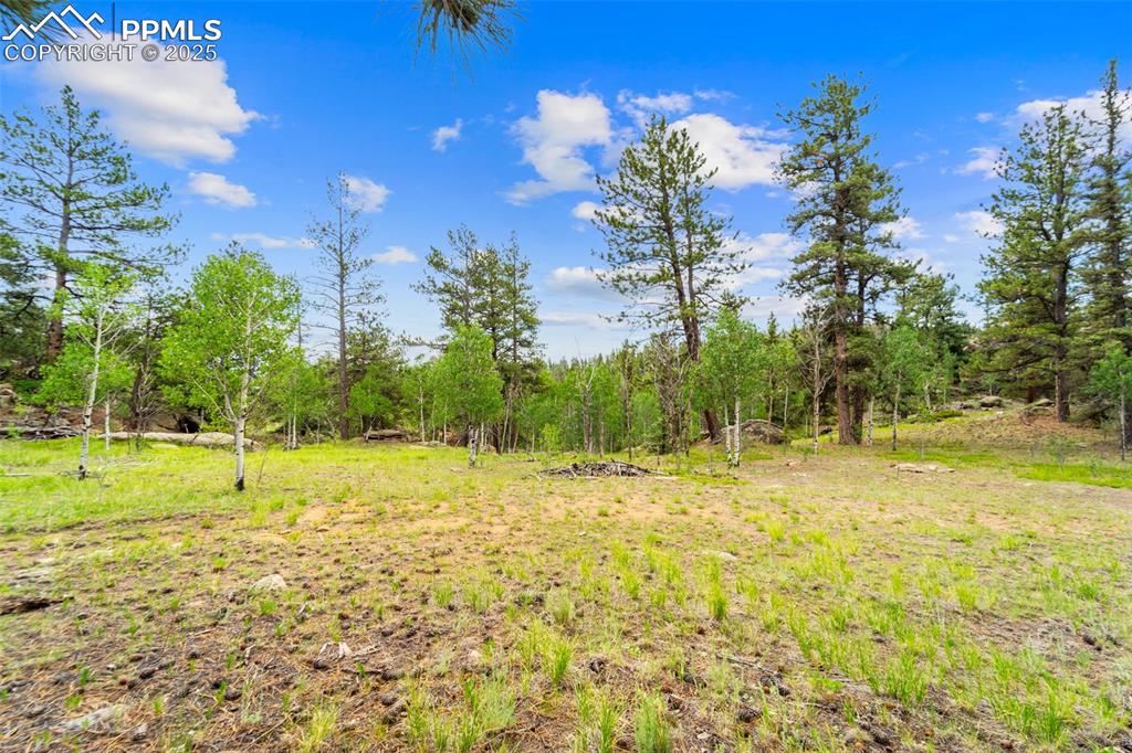 Image 29 of 32: Other