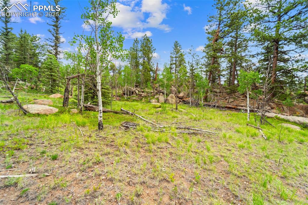 Image 30 of 32: Yard