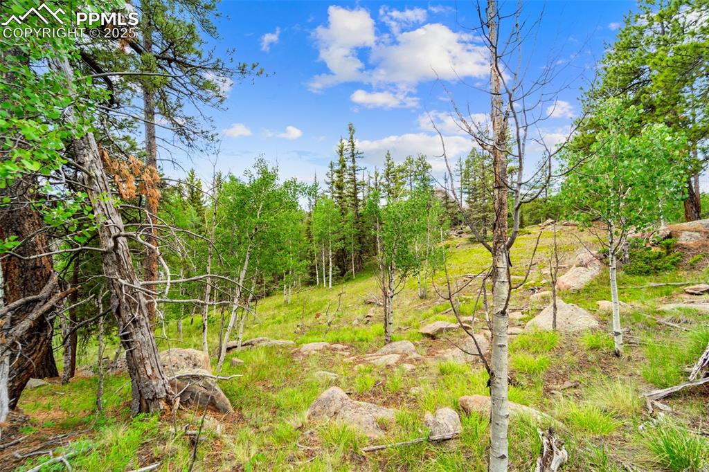 Image 31 of 32: Other