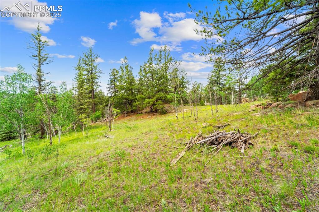 Image 32 of 32: Yard