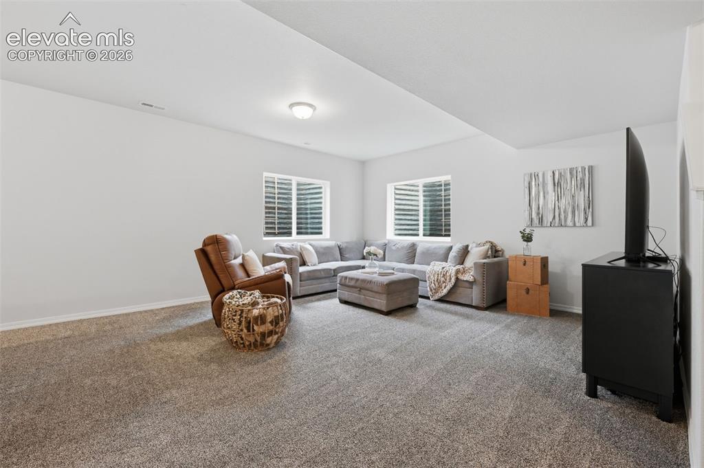 Image 32 of 42: Large Rec Room 