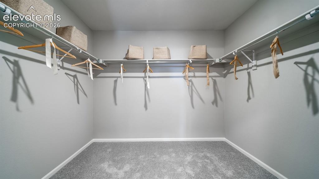 Image 35 of 39: Walk-in closet with light gray walls, gray carpeting, and white baseboards
