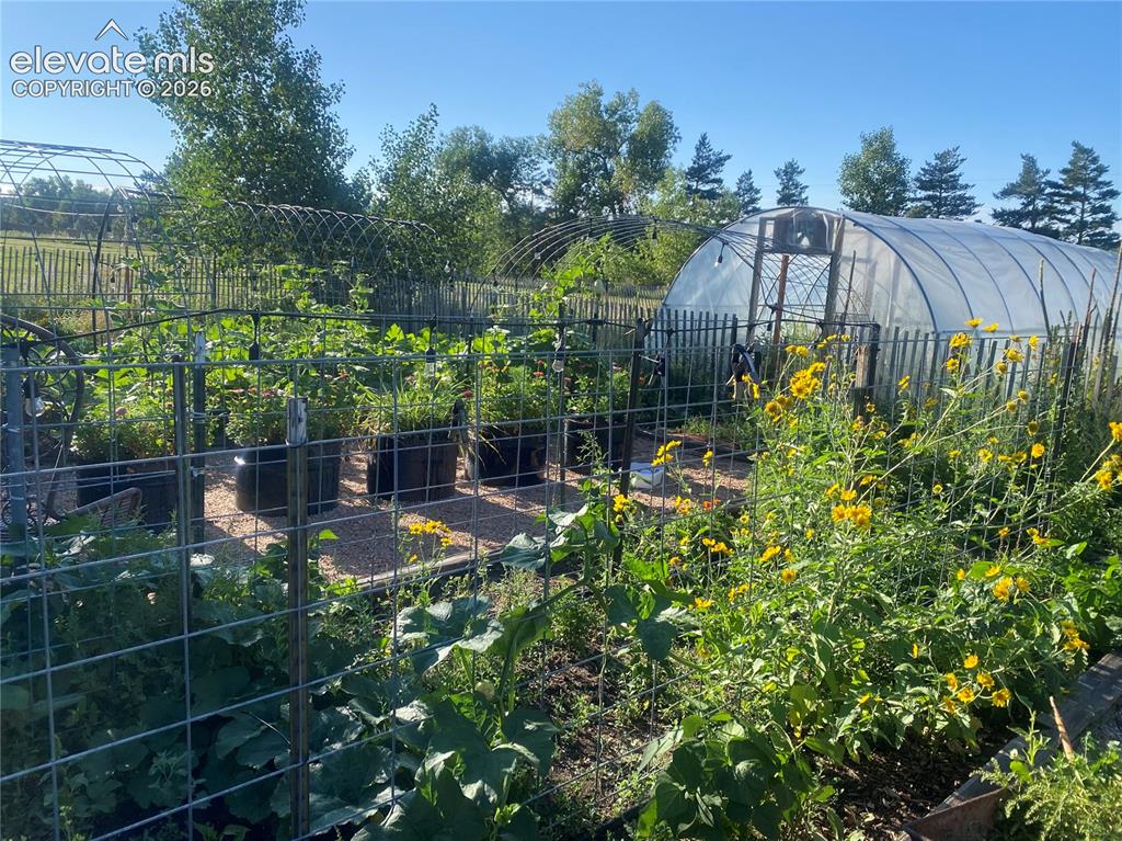 Image 40 of 50: Garden