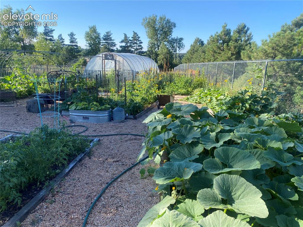Image 41 of 50: Garden