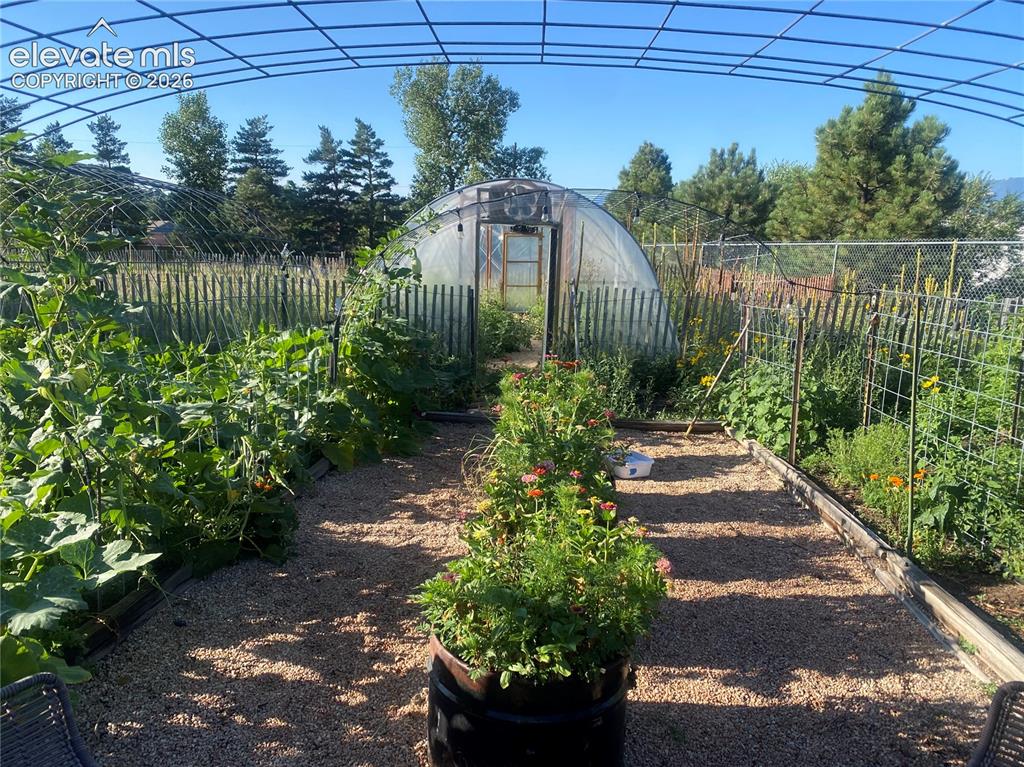 Image 46 of 50: Garden