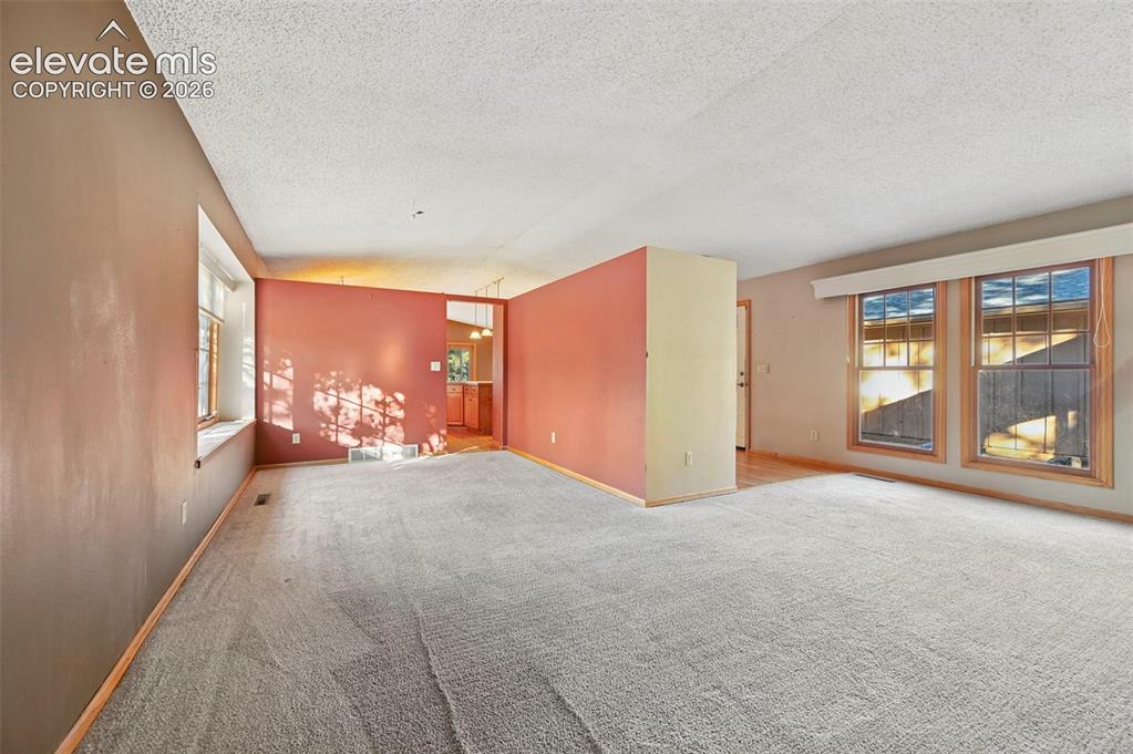 Image 16 of 47: Expansive carpeted area with multiple windows and a half-height partition w