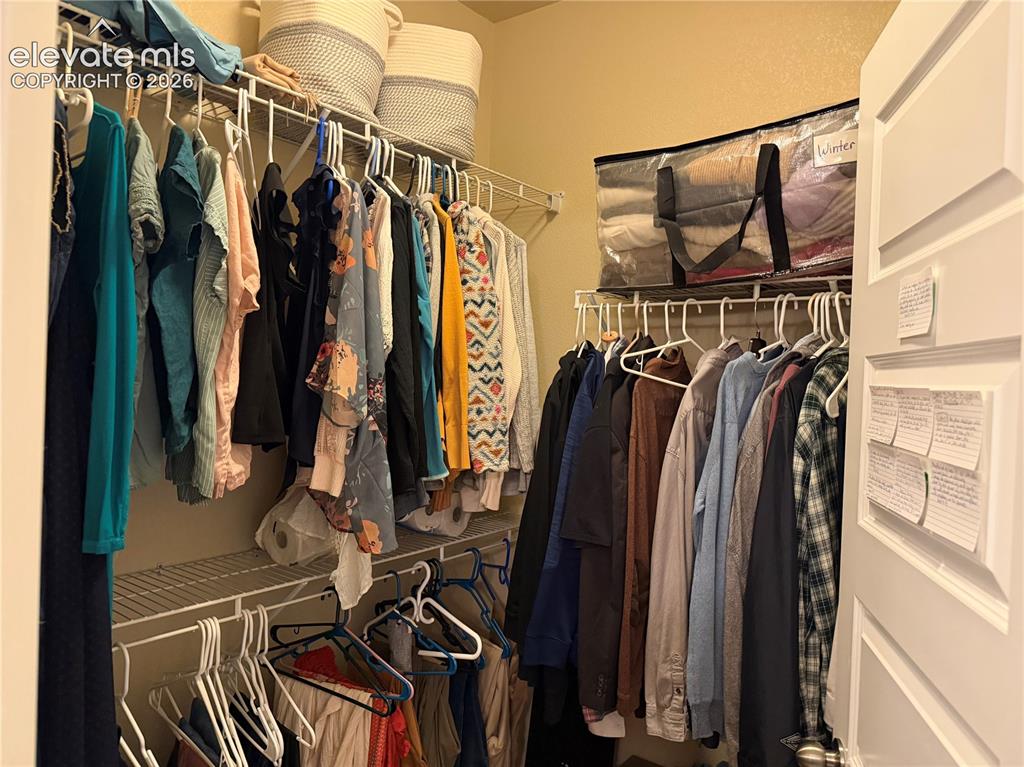 Image 11 of 31: Primary
