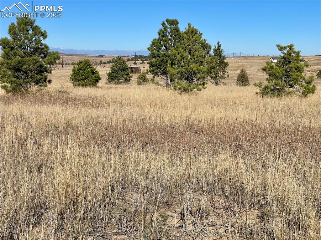 Image 3 of 11: Other