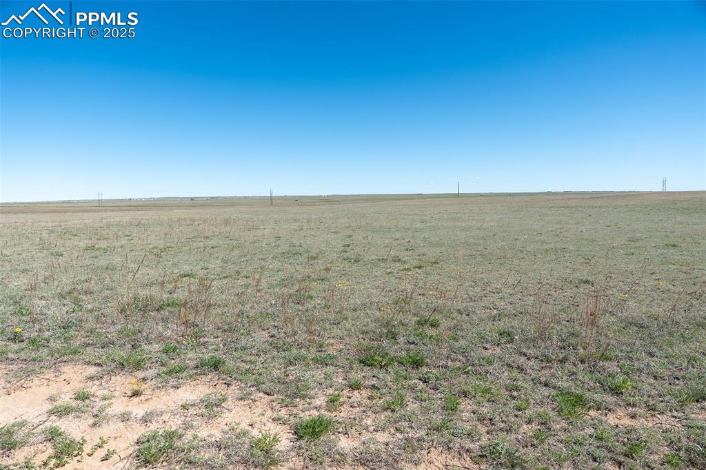 Image 6 of 10: Other