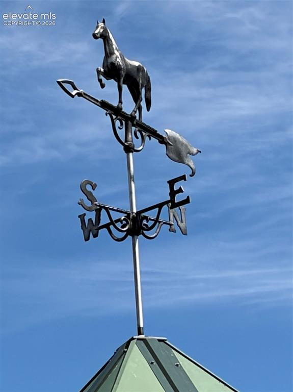 Image 6 of 50: Weather vane on one of the Cupolas