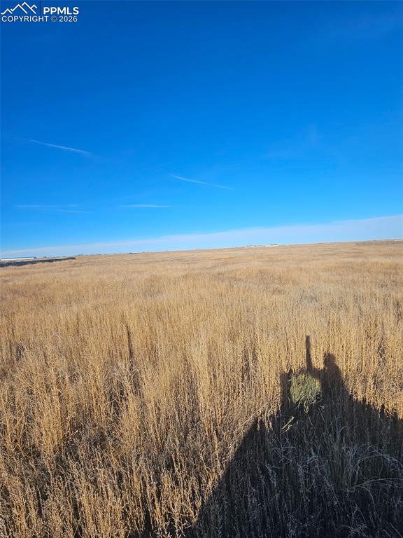 Image 11 of 12: Other