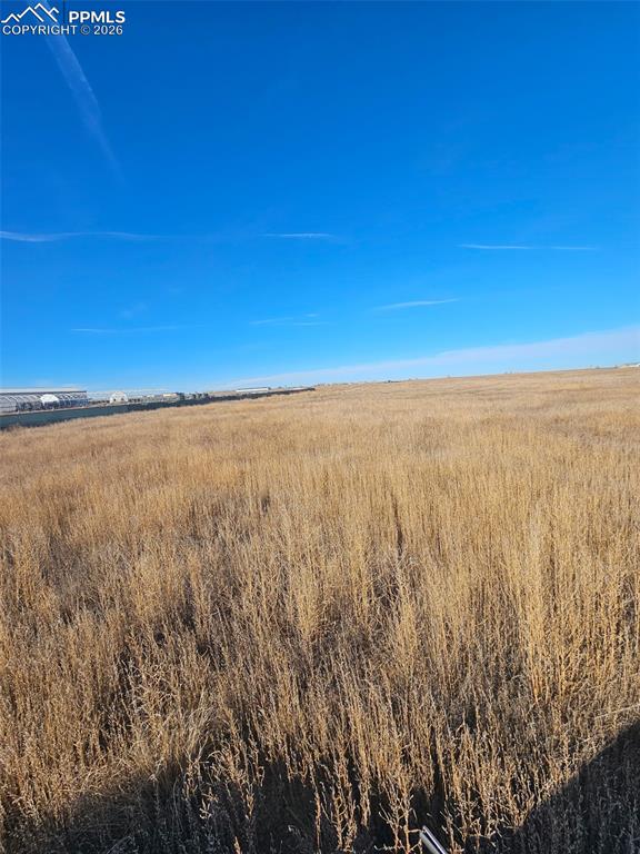 Image 12 of 12: Other