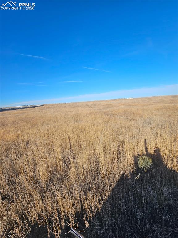 Image 4 of 12: Other