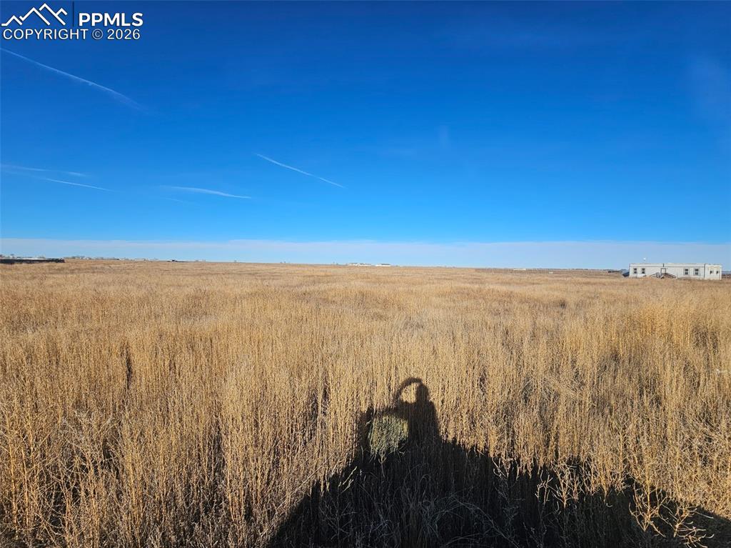 Image 9 of 12: Other