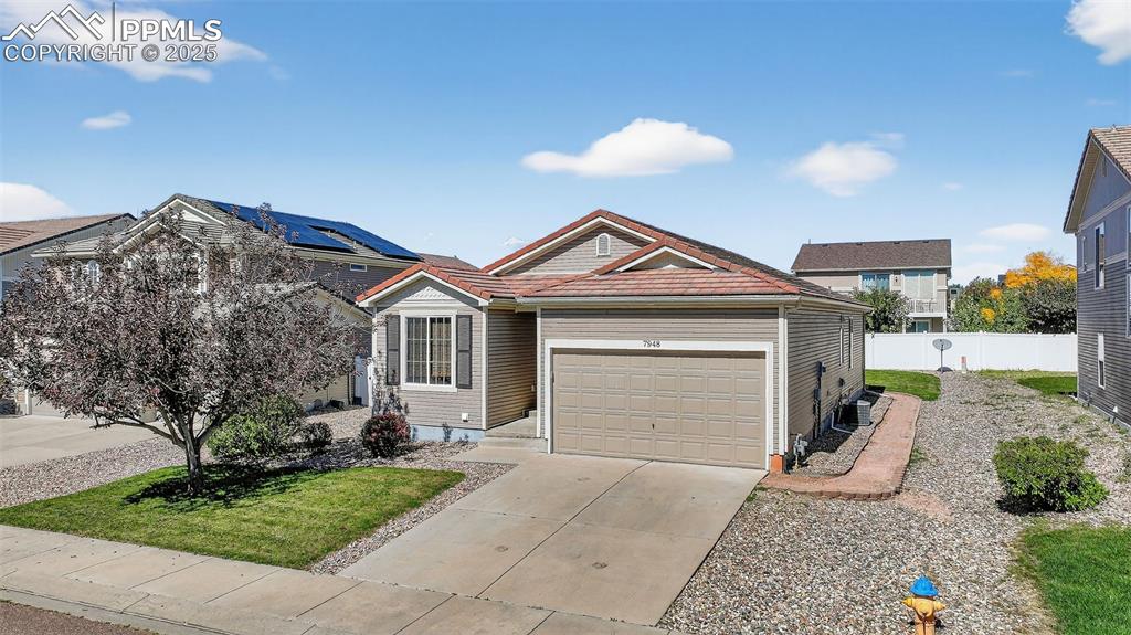 Image 26 of 27: Front of Structure