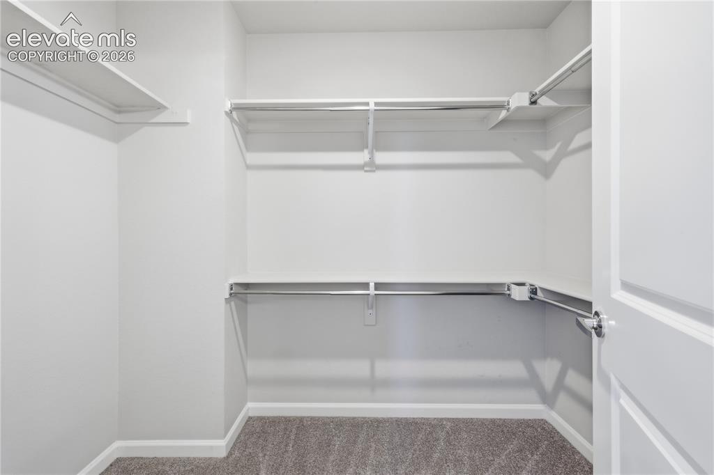 Image 27 of 42: Walk-in closet featuring white walls, gray carpet, multiple shelves, and ha