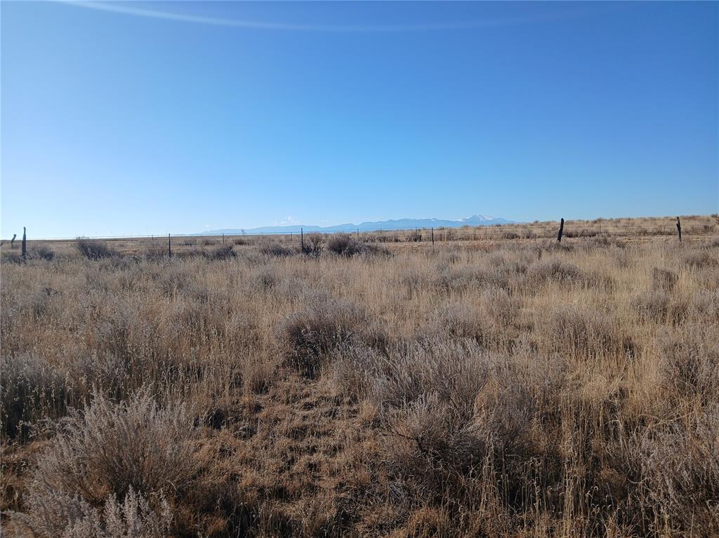 Image 10 of 16: Other