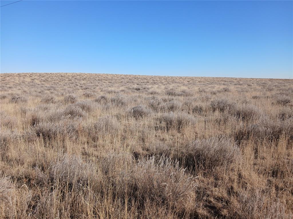 Image 12 of 16: Other