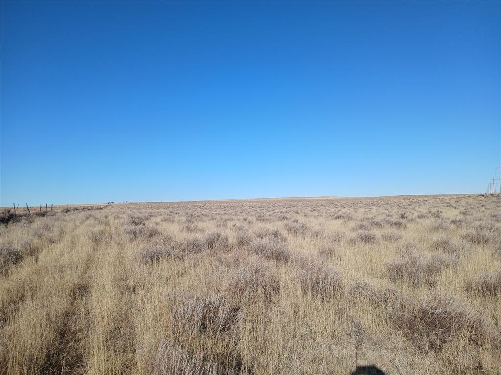 Image 13 of 16: Other