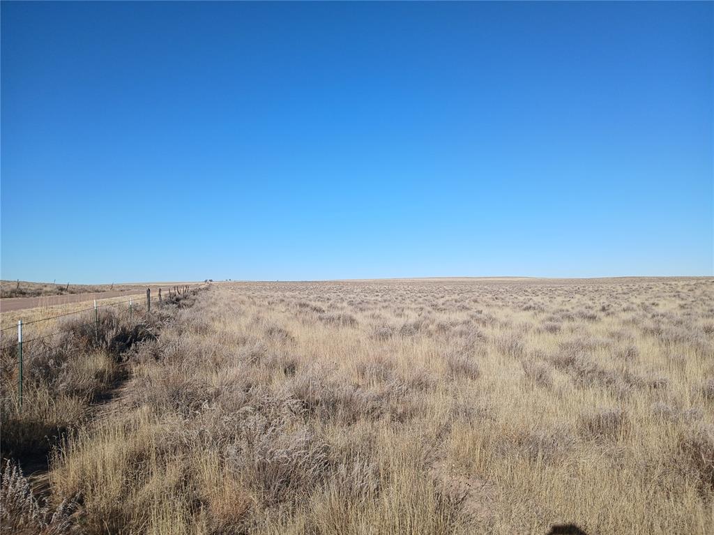 Image 14 of 16: Other