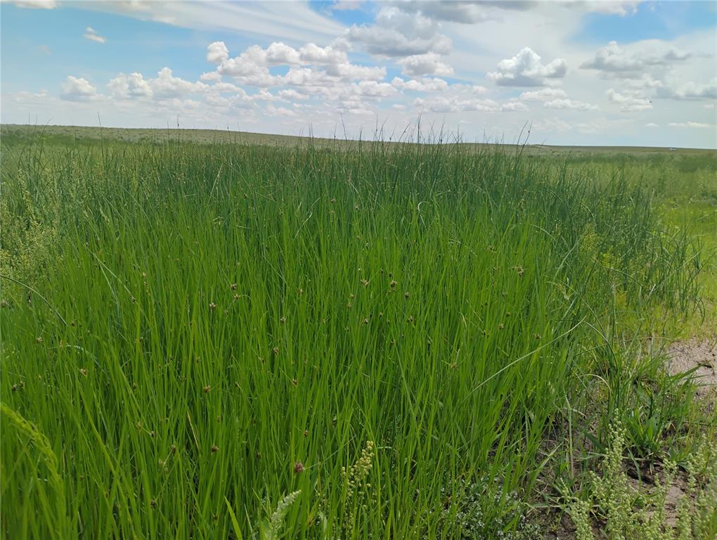 Image 3 of 16: Other