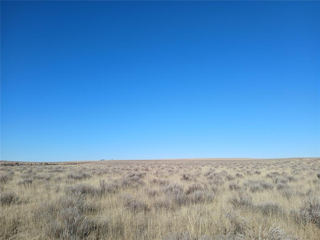 Image 7 of 16: Other