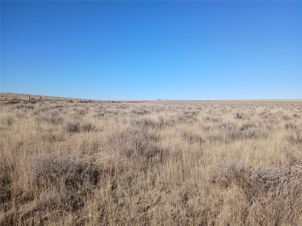 Image 8 of 16: Other