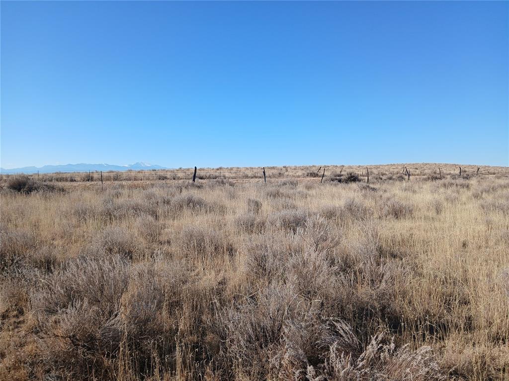 Image 9 of 16: Other