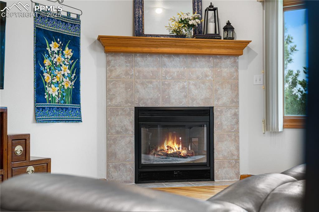Image 17 of 49: Detailed view of a glass covered fireplace