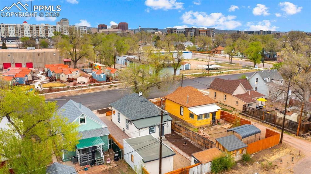 Image 31 of 36: Bird