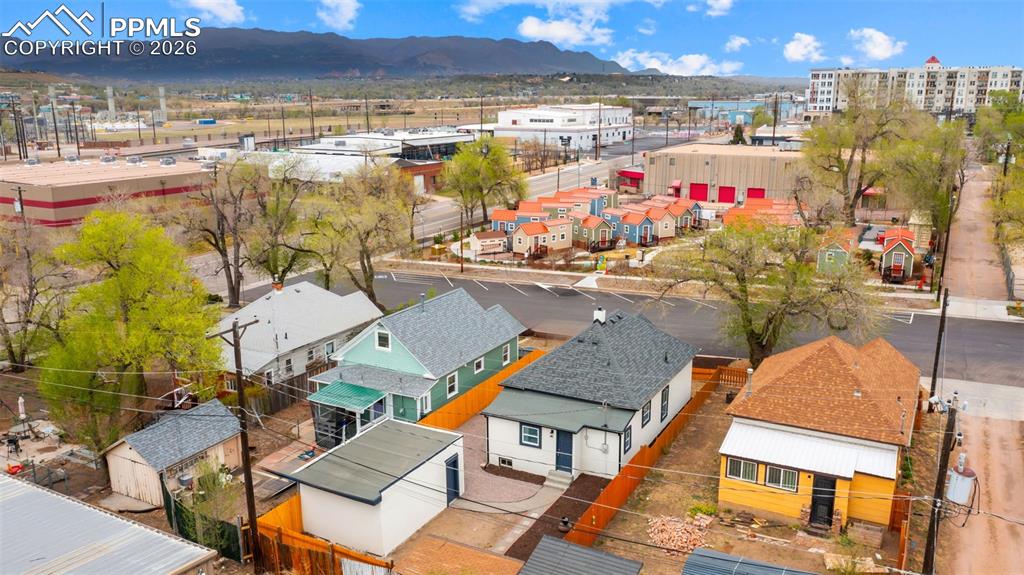 Image 32 of 36: Bird