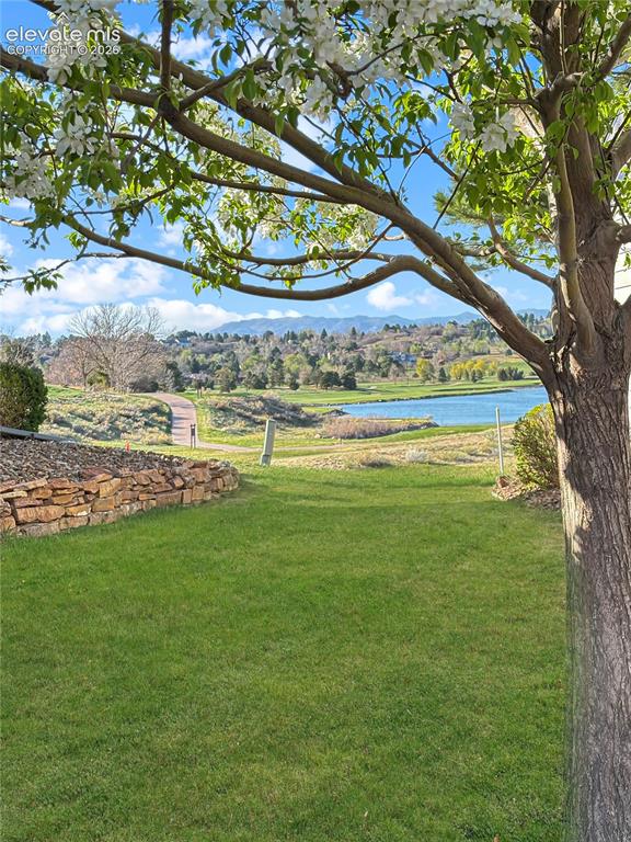 Image 25 of 44: Expansive green space with mature flowering tree, paved walking areas, and