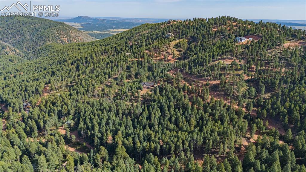 Image 2 of 7: Mountain view featuring a forest