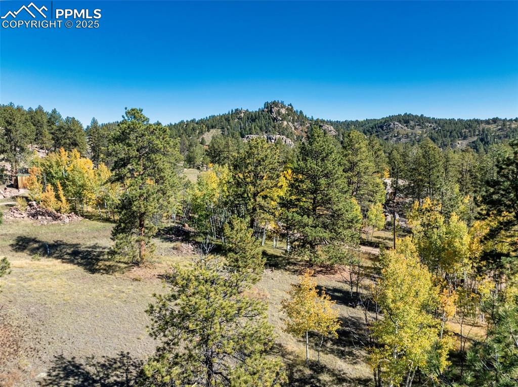 Image 10 of 25: Other