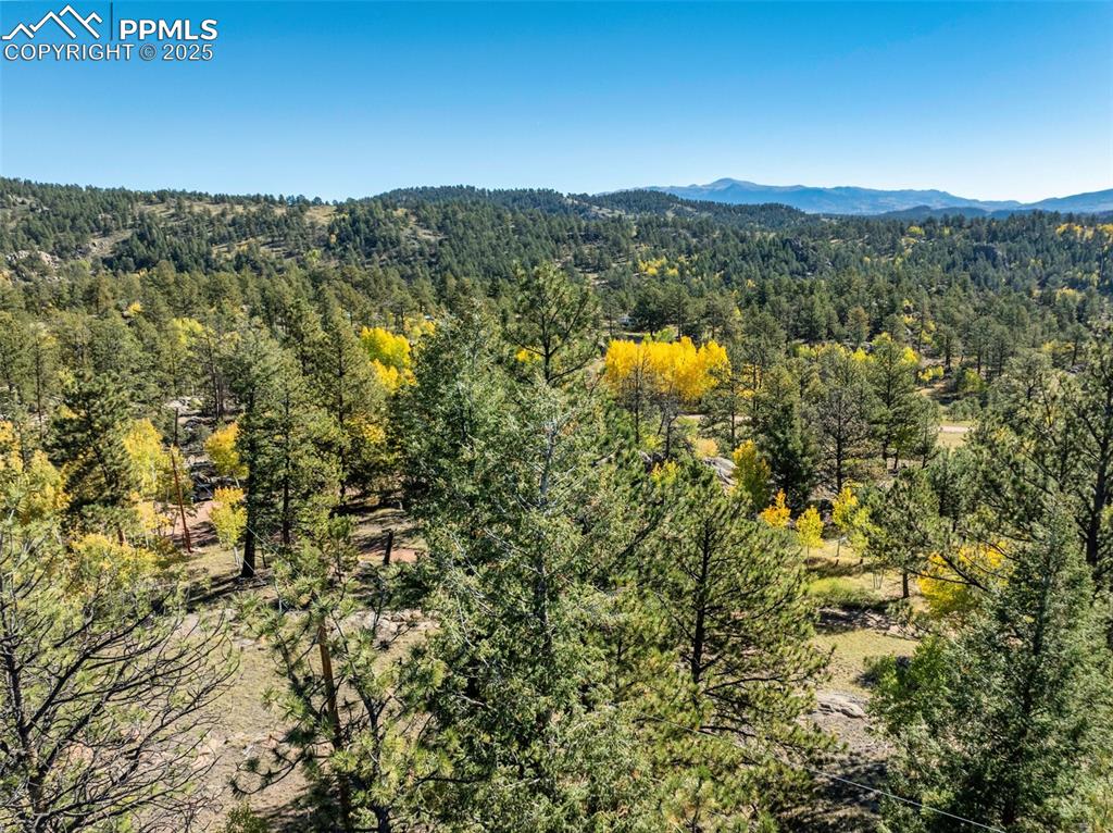 Image 11 of 25: Aerial View