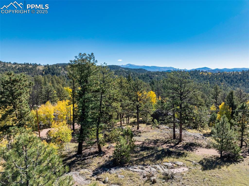 Image 14 of 25: View