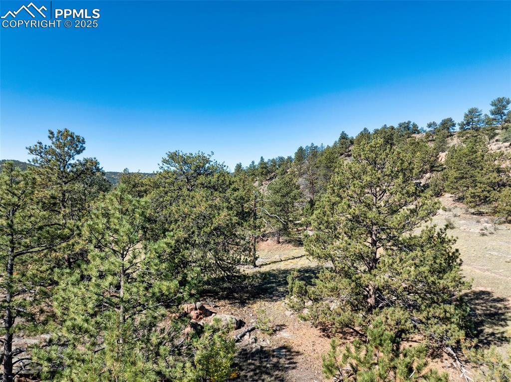 Image 16 of 25: Other