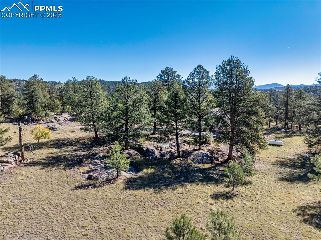 Image 18 of 25: View