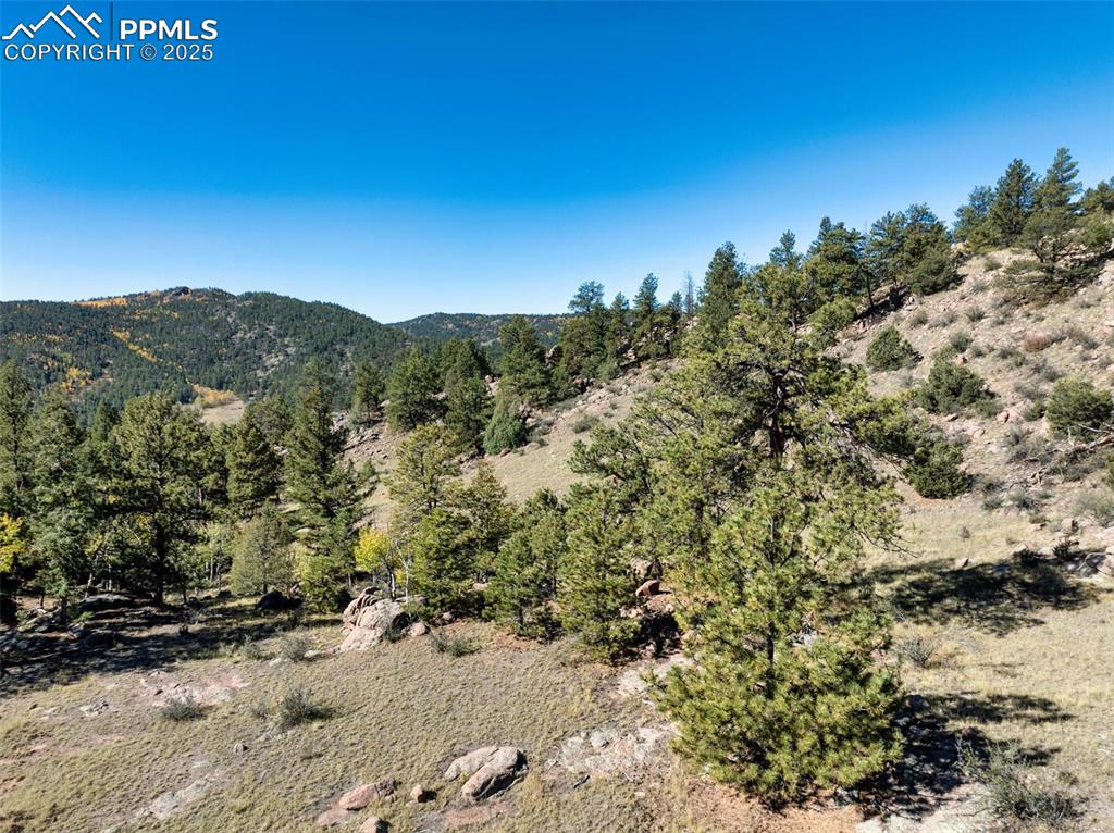 Image 22 of 25: View