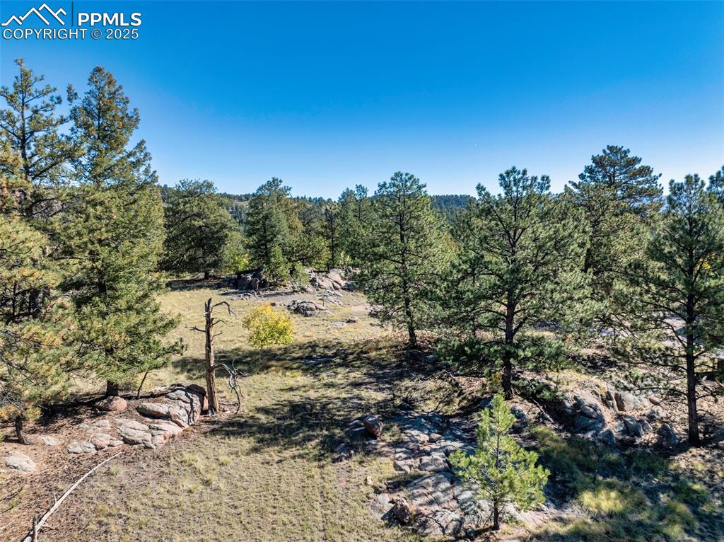 Image 6 of 25: Other