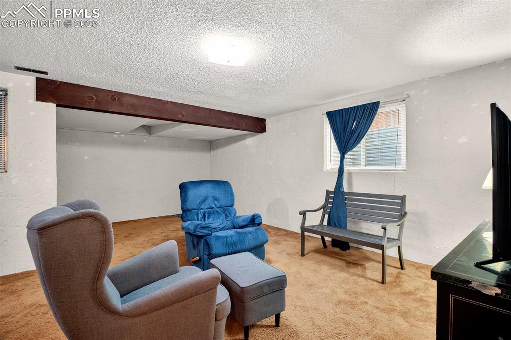 Image 24 of 37: Family room view in the basement