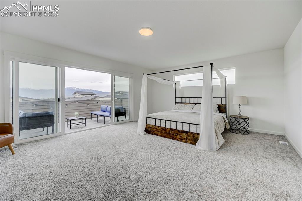 Image 30 of 48: Carpeted bedroom featuring access to exterior, multiple windows, and basebo